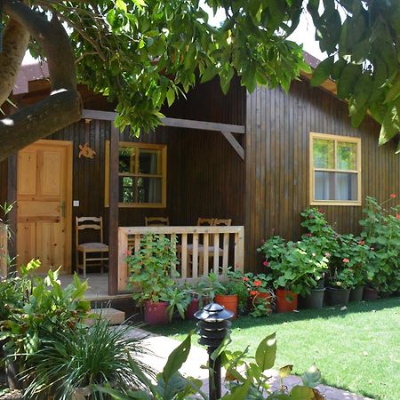 Caretta Caretta Pension Cirali Exterior photo
