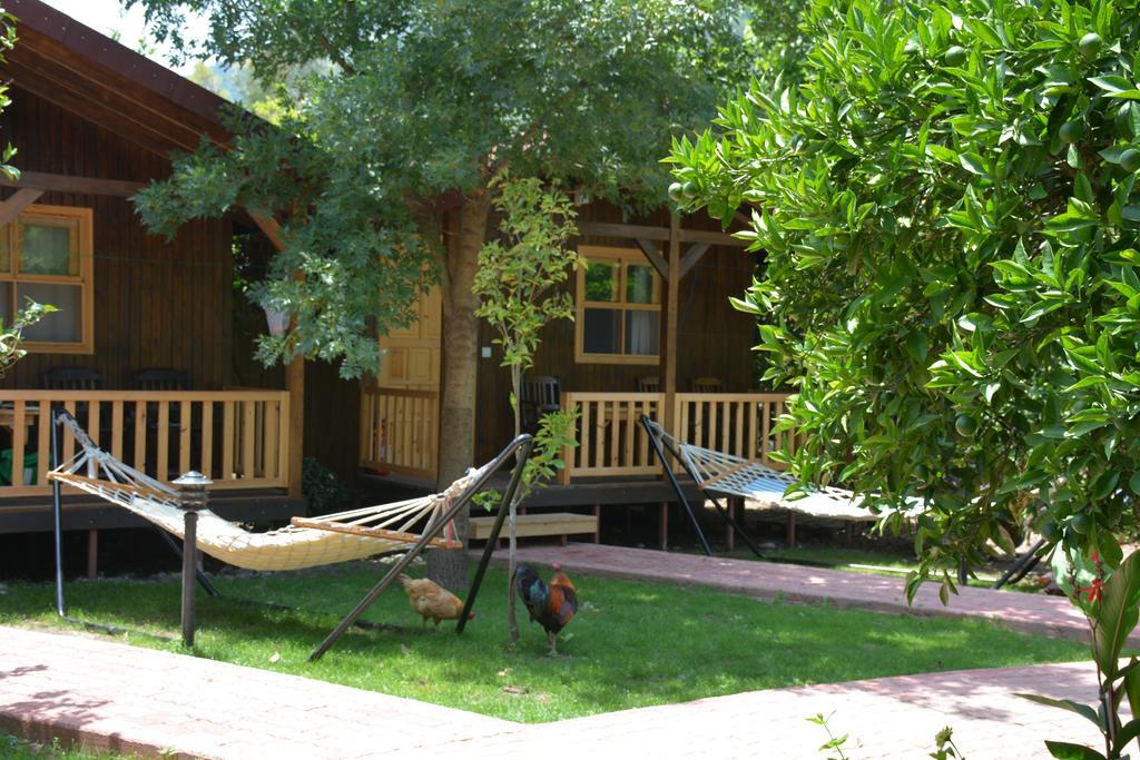 Caretta Caretta Pension Cirali Room photo
