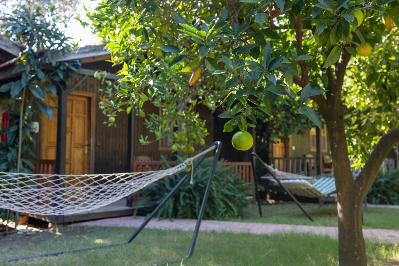 Caretta Caretta Pension Cirali Exterior photo