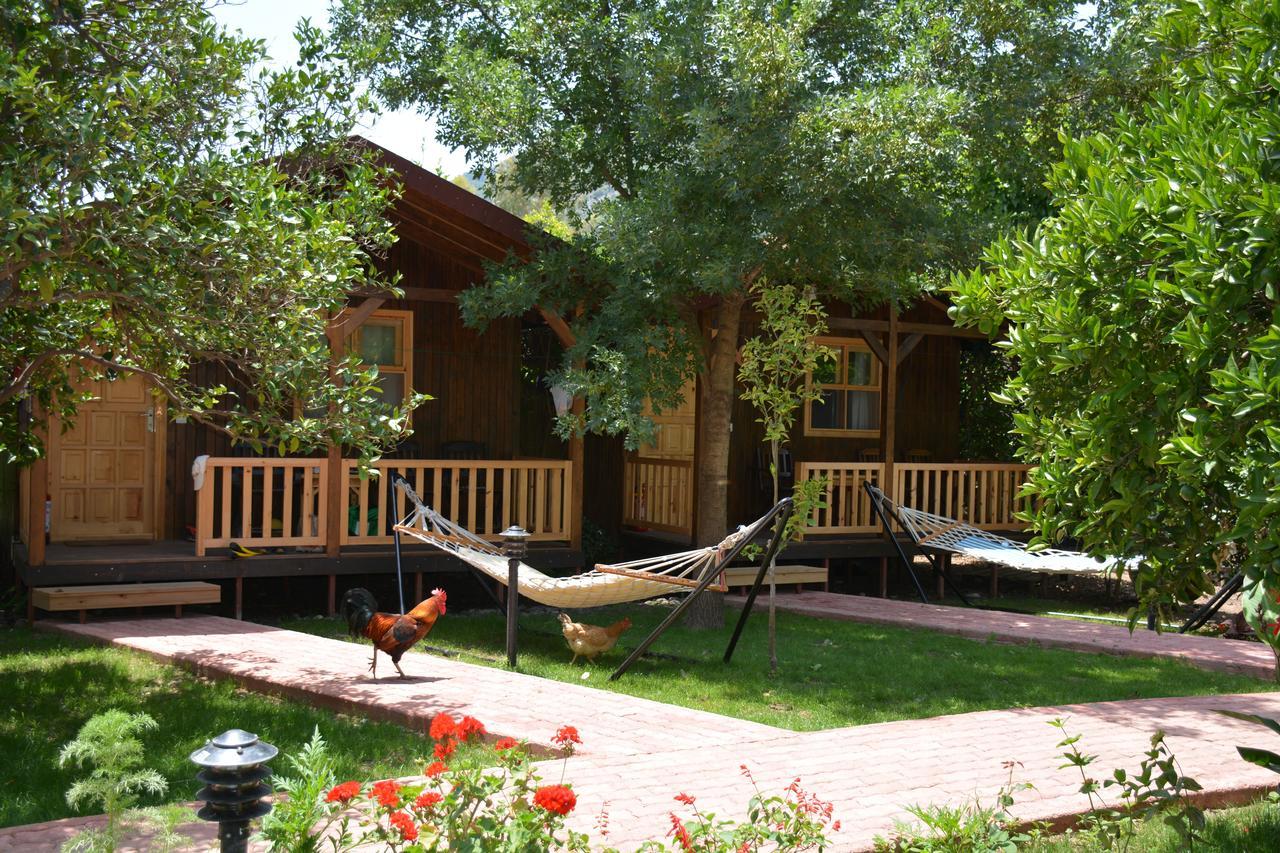 Caretta Caretta Pension Cirali Exterior photo