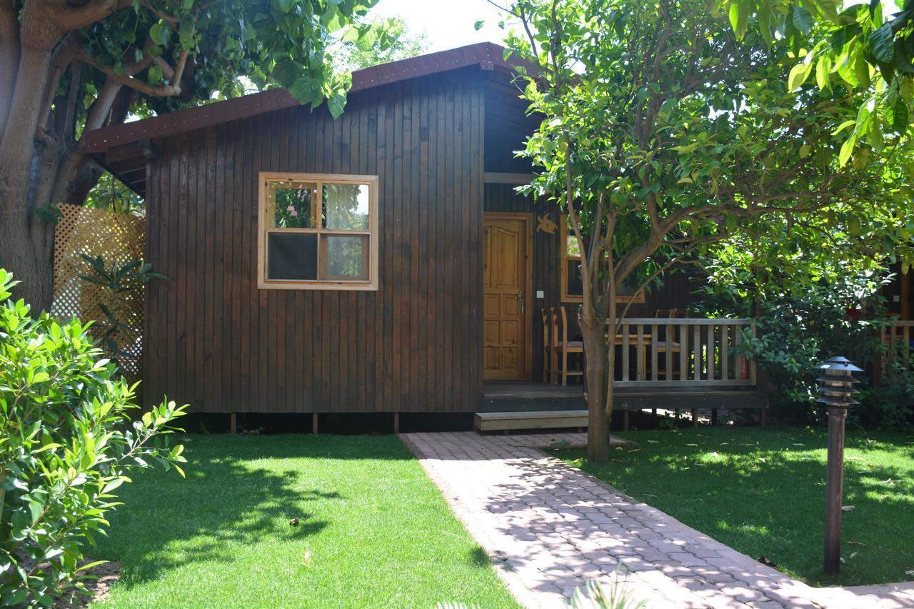 Caretta Caretta Pension Cirali Exterior photo