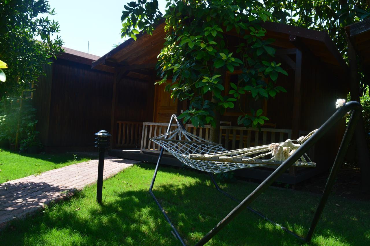 Caretta Caretta Pension Cirali Exterior photo